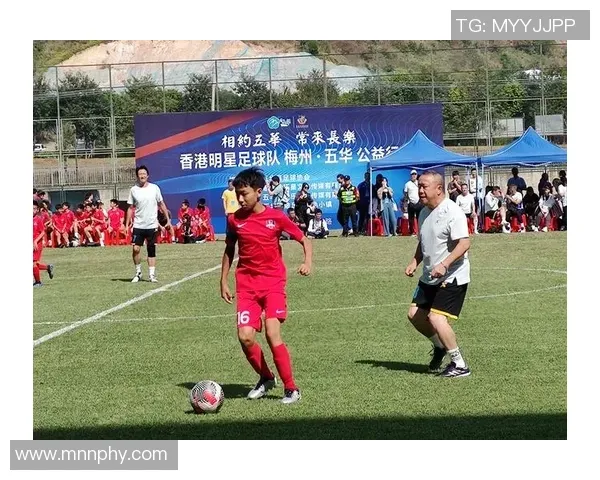 荷兰博彩市场2025年税收贡献超10亿欧元